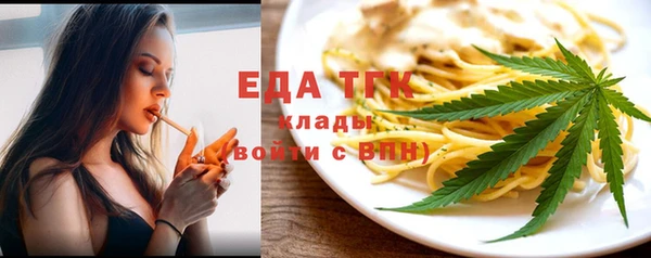 индика Краснотурьинск