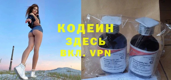 индика Краснотурьинск
