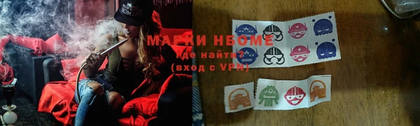 индика Краснотурьинск