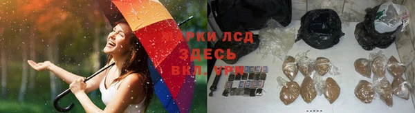мдпв Краснослободск