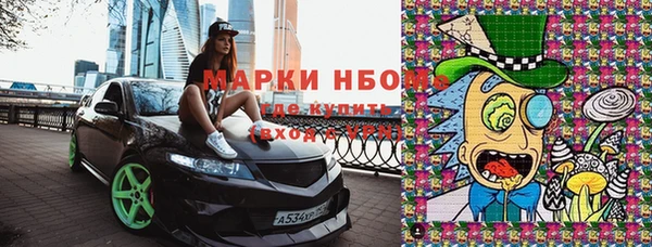 индика Краснотурьинск