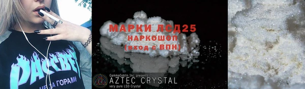 индика Краснотурьинск