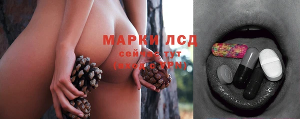 индика Краснотурьинск