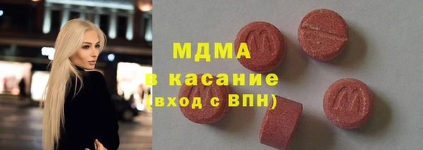 индика Краснотурьинск