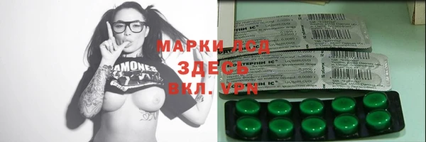 мдпв Краснослободск