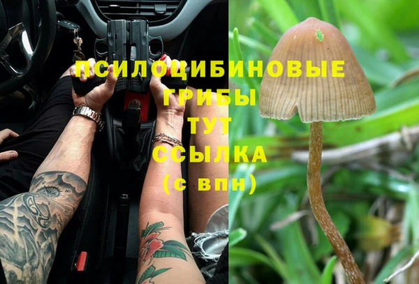 мдпв Краснослободск