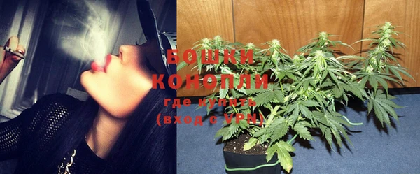 индика Краснотурьинск