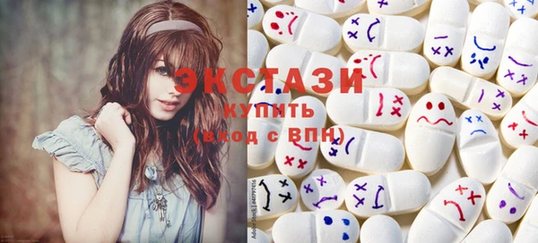 мдпв Краснослободск