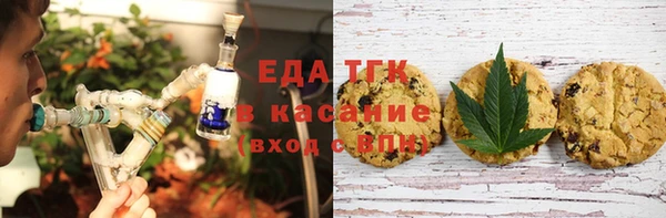 индика Краснотурьинск