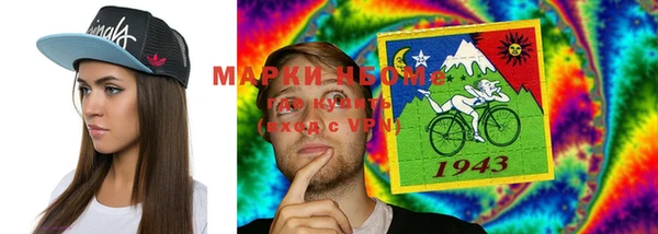 индика Краснотурьинск