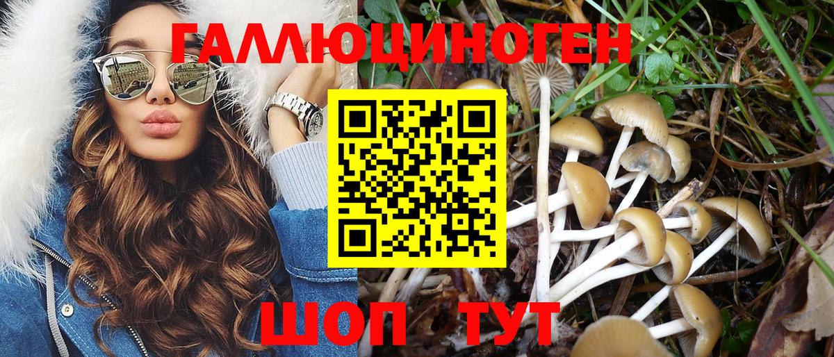 Псилоцибиновые грибы мицелий  Вход с VPN  Великий Новгород 