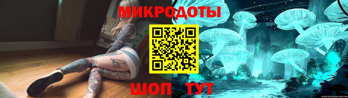 Псилоцибиновые грибы мицелий Великий Новгород